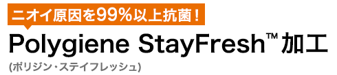 ポリジンの見出し