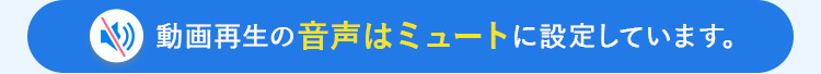 動画再生の音声はミュート設定になります