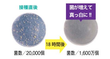 抗ウイルス加工の比較イメージ