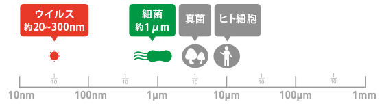 ウイルスの大きさ