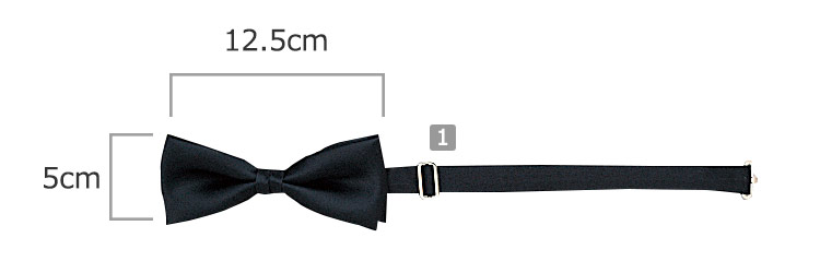 蝶ネクタイ(31-AS02)のおすすめポイント