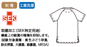 >トロピカル素材の画像