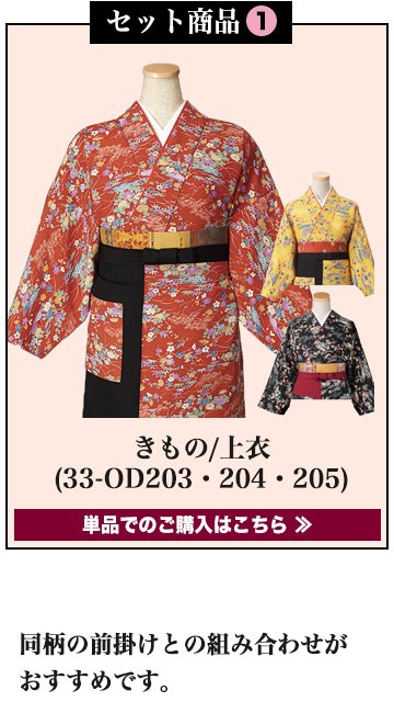 二部式着物セット/友禅調小紋柄[女性用](33-OD203SET) | 株式