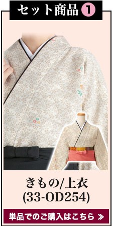 二部式着物セット/雲井ぼかし草小紋柄[女性用](33-OD254SET