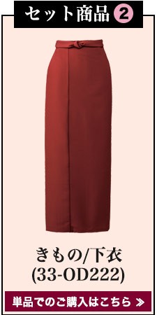 着物セット(33-SODL1859)セット内容2