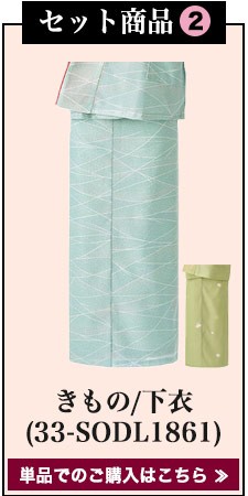 着物セット(33-SODL1859)セット内容2