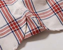 ガゼット拡大図