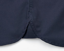 ガゼット拡大図