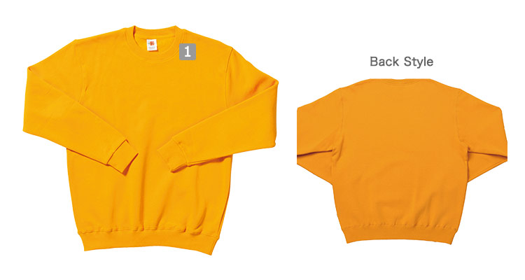 カジュアルトレーナーの商品詳細(34-ms2101)