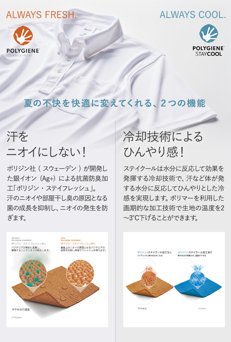 ポリジン-ドライボタンダウンポロシャツ(34-MS3126)
