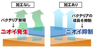 ポリジン解説図