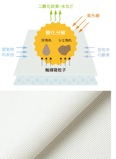 ボタンダウン七分袖ニットシャツ(35-CH4496)のおすすめポイント