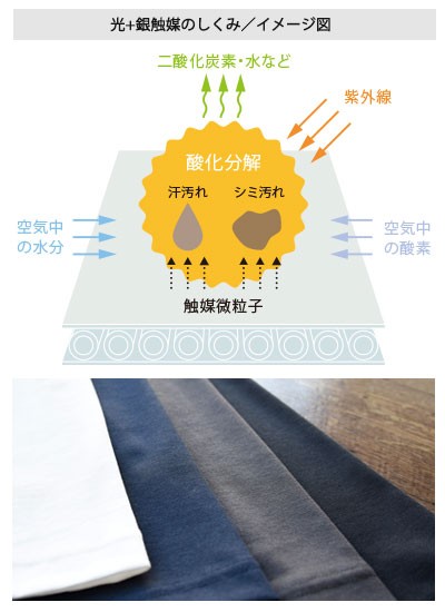 ハイネックニットカットソー(35-CU2356)のおすすめポイント