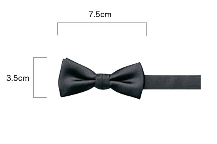 蝶タイ(35-JX4809)の商品詳細