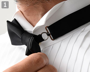 蝶タイ(35-JX4809)の商品詳細「フックタイプ」