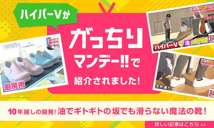ハイパーVががっちりマンデーで紹介されました!