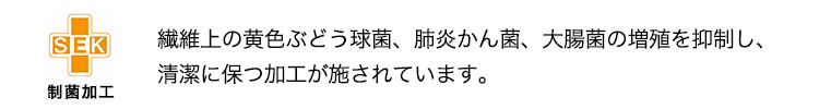 SEKマーク