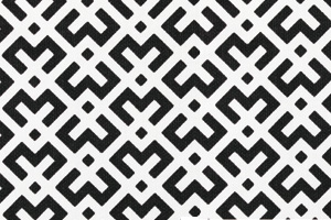 ダボシャツ(B4-APK556)の生地「ドビークロスプリント」