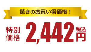 リーズナブルな価格