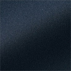 ネイビー