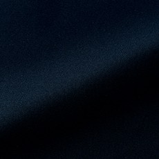 ネイビー
