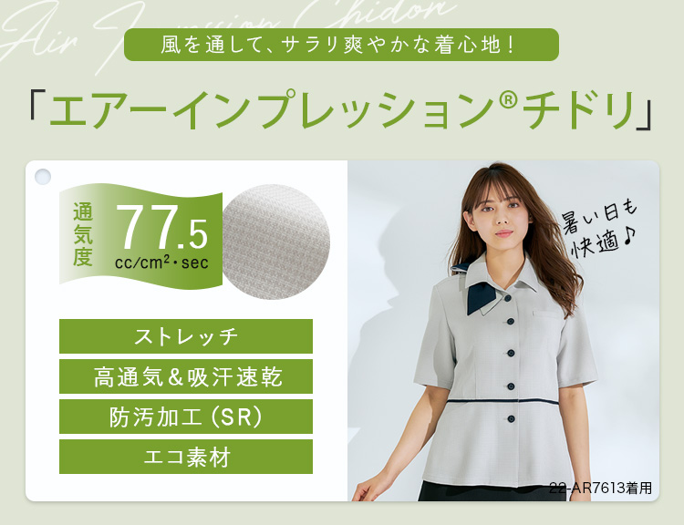 エアーインプレッションチドリ画像