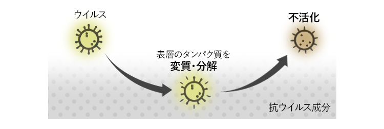 ケミタックVウイルス分解