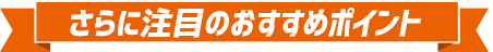 おすすめポイント