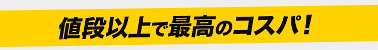 値段以上に最高のコスパ