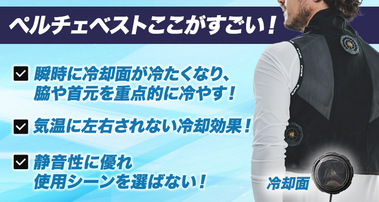 バートル アイスクラフトIC101S