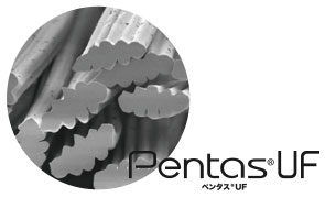 ペンタス・ライトフィックス