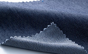 ペンタス・ライトフィックス