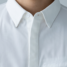 台襟仕様、比翼仕立て