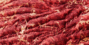 桑和 コンプレッション 718542