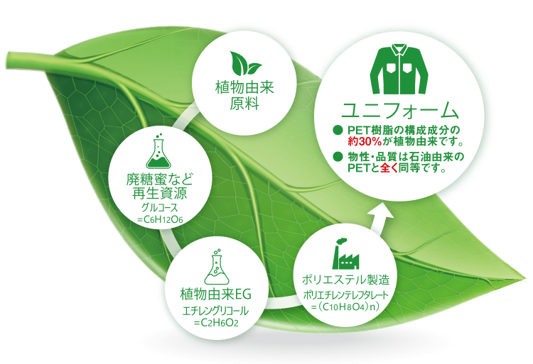 3501 PET樹脂の構成成分の約30%が植物由来です
