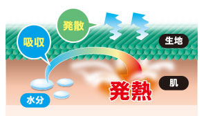 BODY TOUGHNESS 素材説明