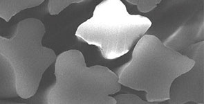 BODY TOUGHNESS 異形断面ポリエステル