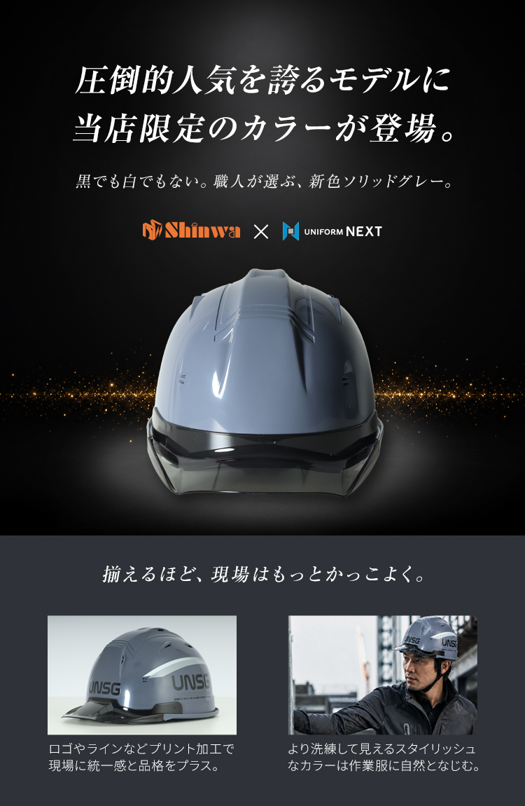帽体 ABS製/ひさし PC製]ヘルメット SS19V型TP式RA(B5-SS19VTPRA) | 進