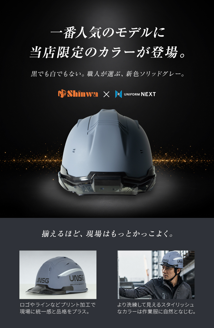 帽体 ABS製/ひさし PC製]ヘルメット SS19V型TP式RA マット塗装(B5