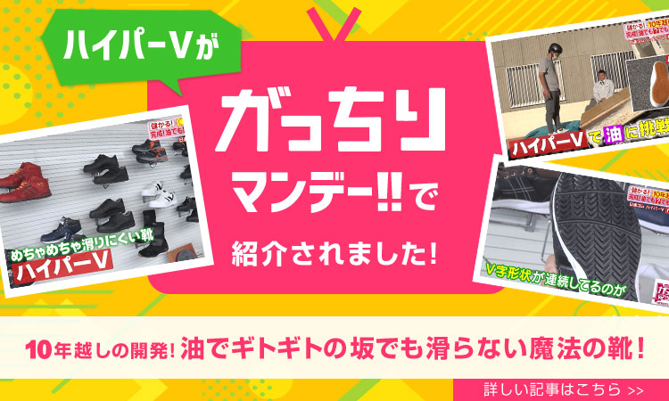 ハイパーVががっちりマンデーで紹介されました!