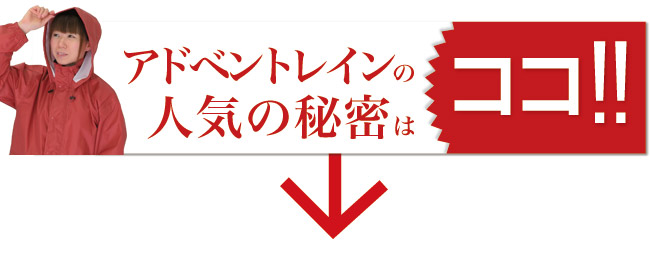 アドベントレインの人気の秘密