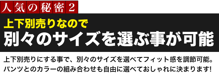 秘密2 上下別売り