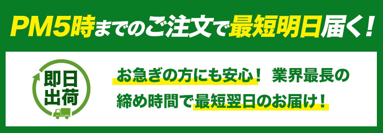 即日出荷します!