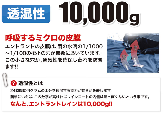 透湿性10000グラム