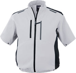 シルバーグレー(22)