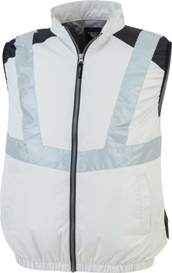 シルバーグレー(22)