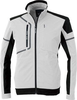 シルバーグレー(22)