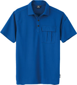 ロイヤルブルー(46)