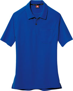 ロイヤルブルー(42)