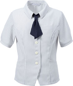 ホワイトストライプ(511)